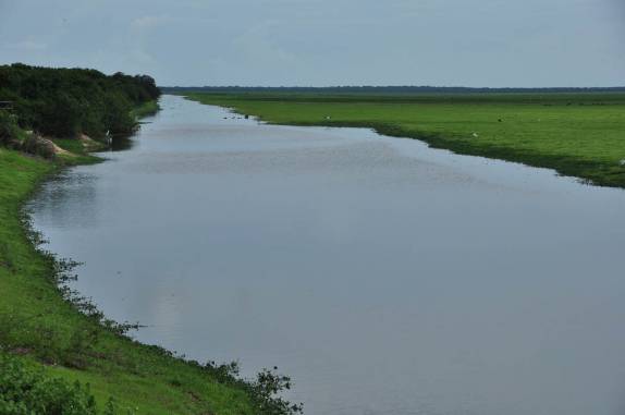 Terrenos alagados no Hato El Cedral, na região dos llanos venezuelanos, perto da cidade de Mantecal